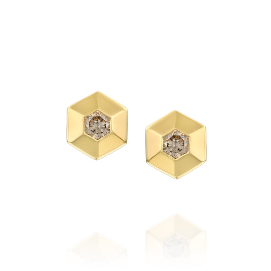 עגילי משושה|Hexagon Dream